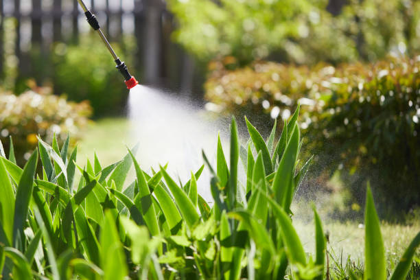 24/7 Emergency Mosquito Control experts in Silver Grove, KY