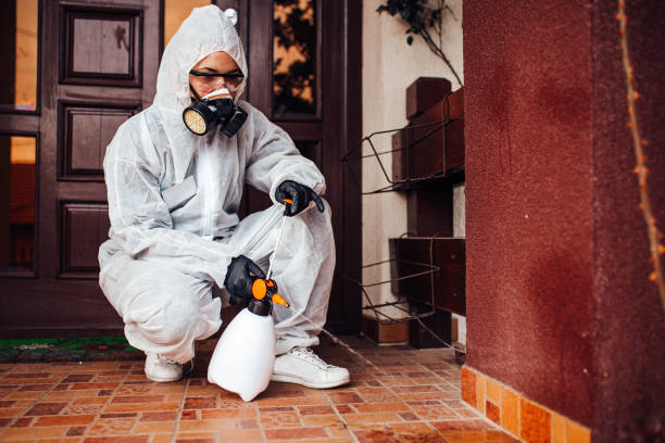 Reliable Mosquito Control contractor in Silver Grove, KY by Show Me Pest Control