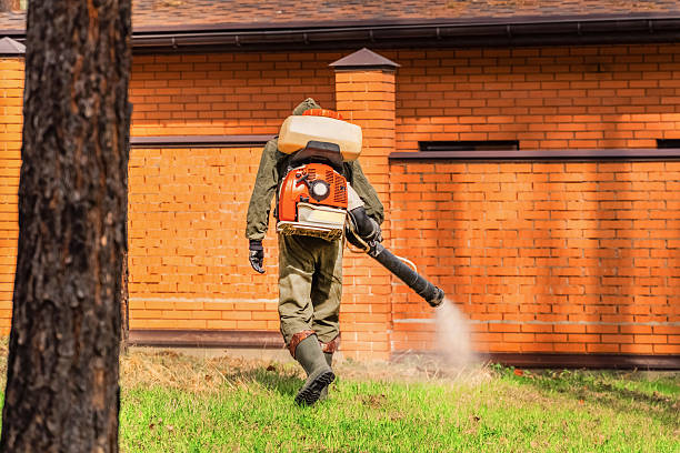 Top rated local Mosquito Control specialists in Silver Grove, KY